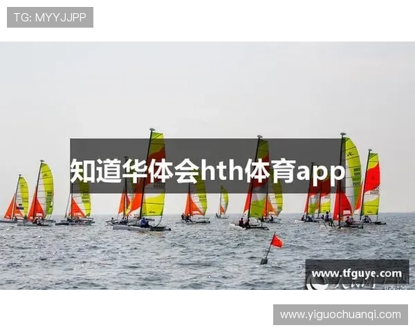 华体会体育手机版会员登录界面优化建议，提升用户体验的实用改进方案