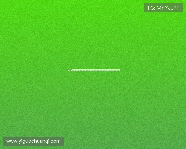 htp网页版登录入口帮助用户便捷访问世界杯直播,第一时间掌握比赛结果